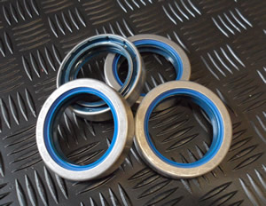 Oil Seal